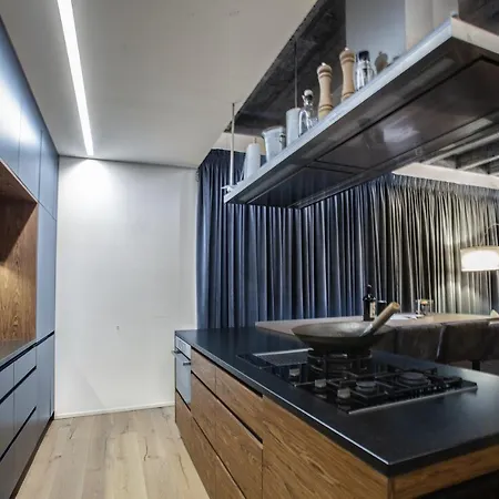 Contemporary With Fireplace & Terrace *