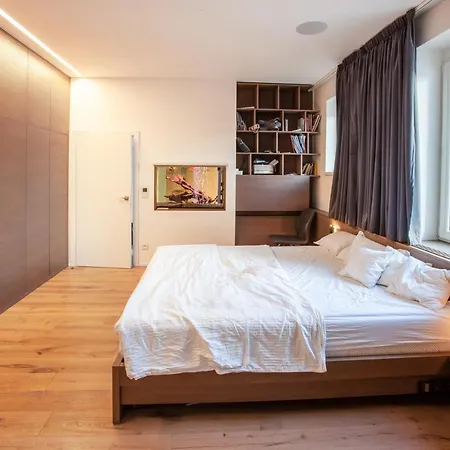 Contemporary With Fireplace & Terrace *